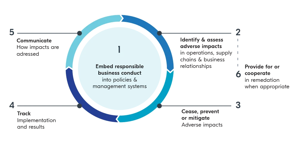 Framework Human and labor rights