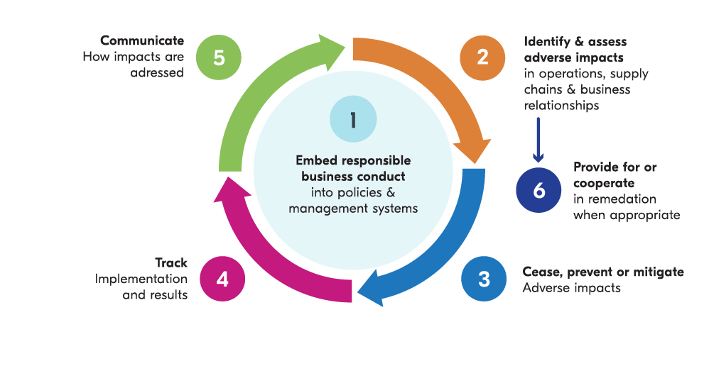Process for assessing human and labor rights