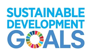 un sustainable goals