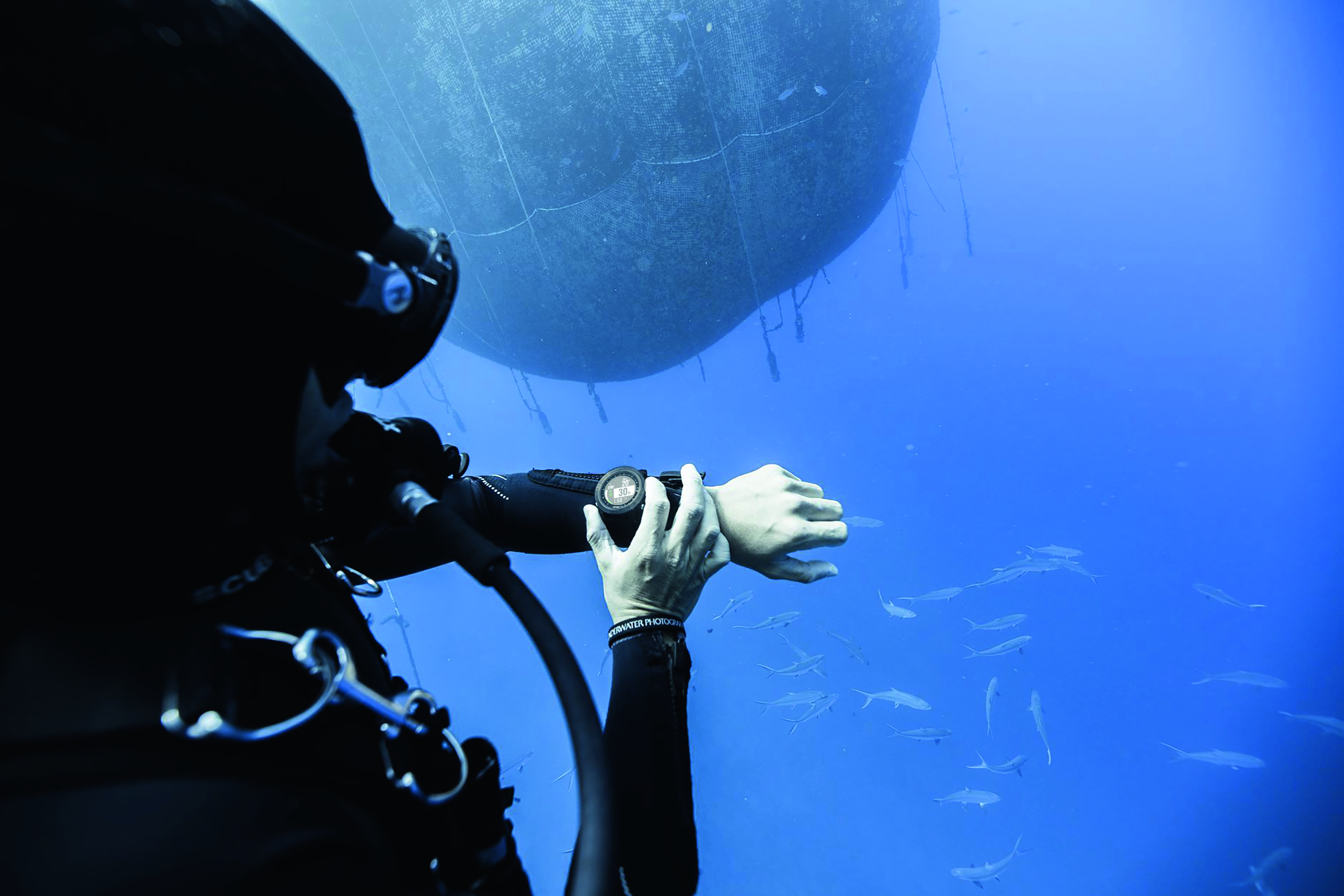 Bluetooth Low Energy diving watch records detailed dive information and