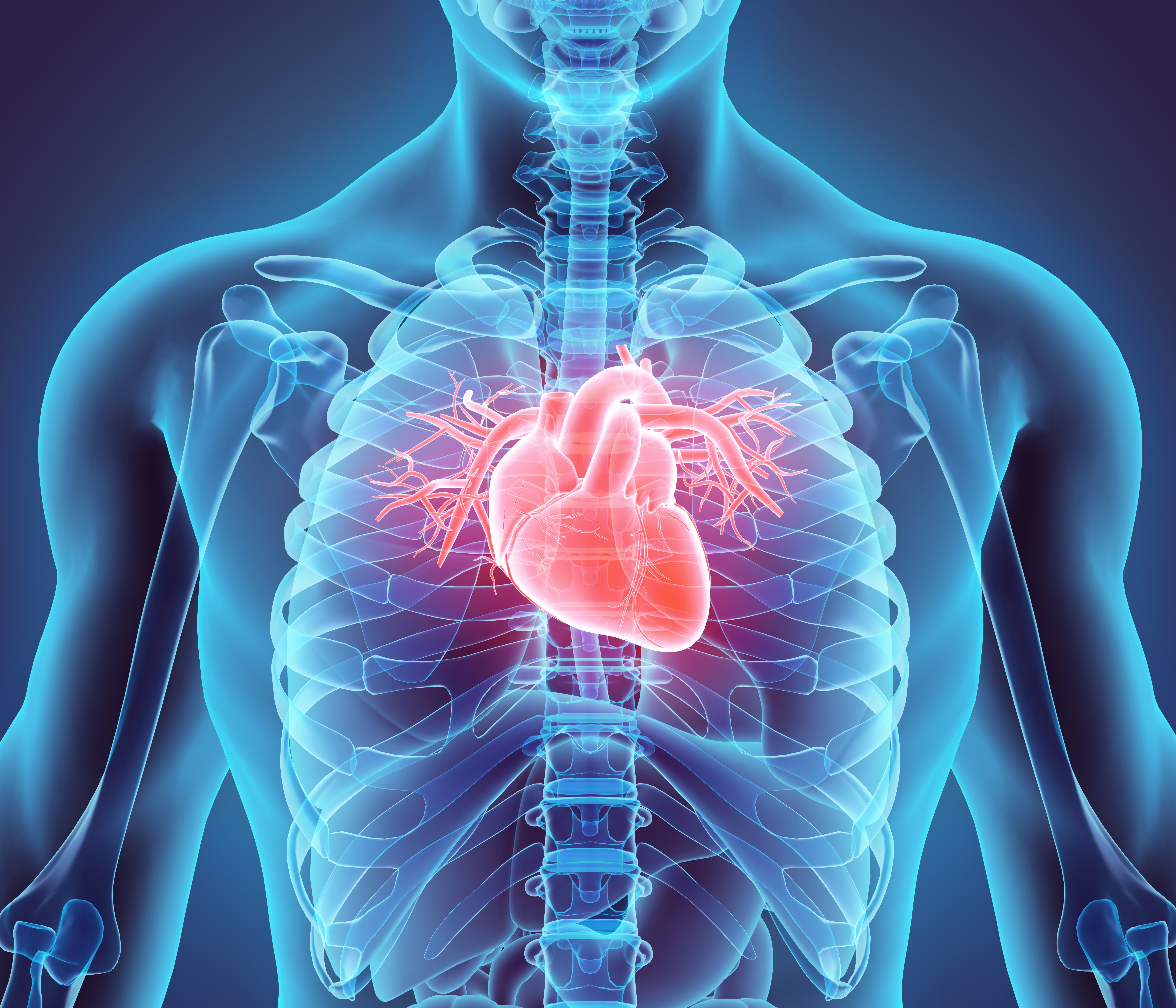 GettyImages-530199842.jpg Heart