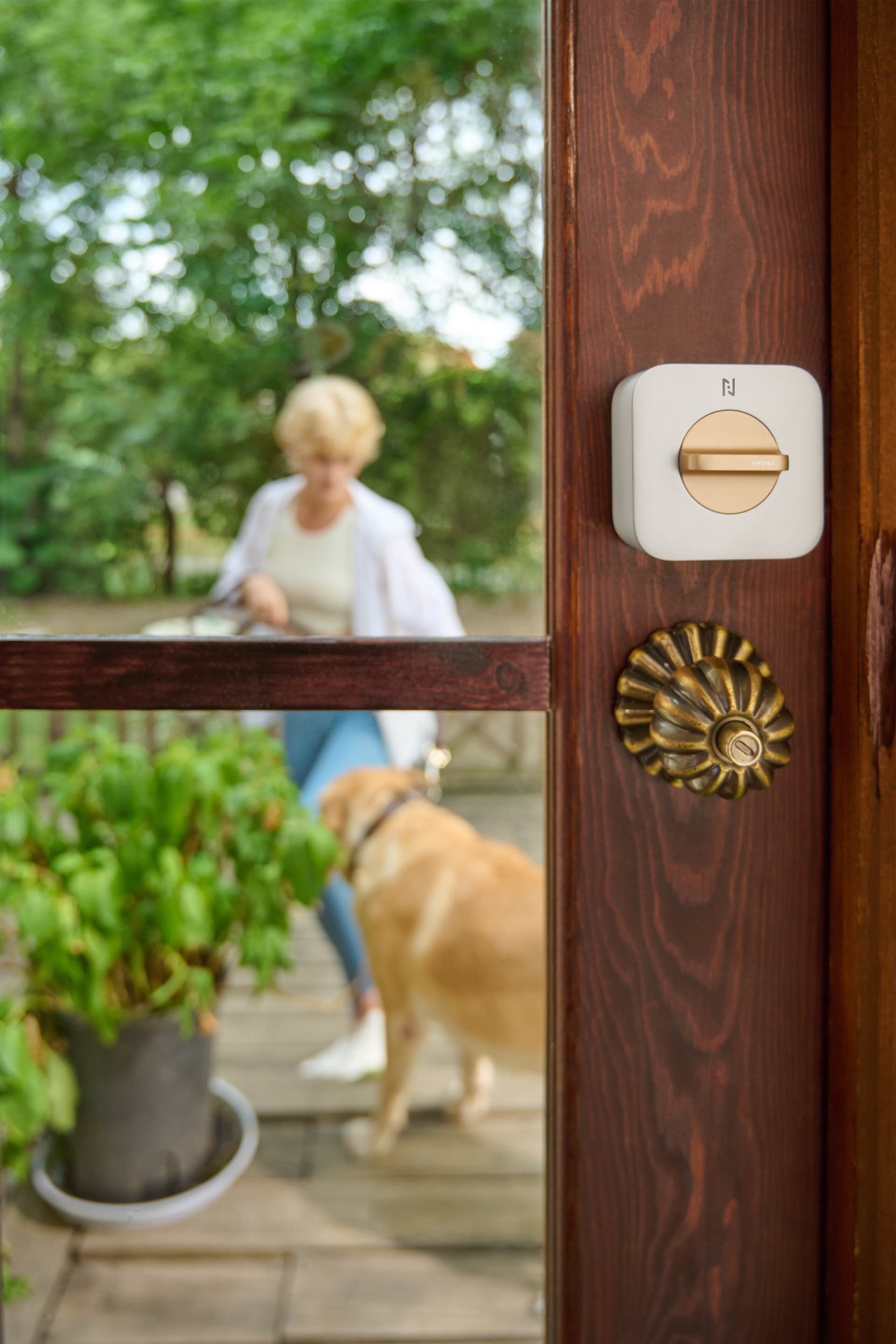 dog building standing small looking table front holding sitting man wooden woman door brown mirror people cat sign phone window