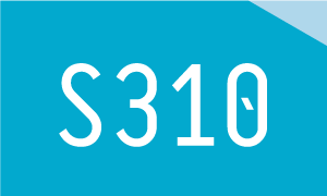 S310